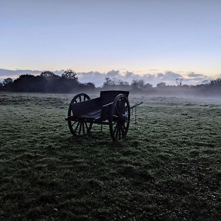 Ferme De Franqueville サント・マリー・デュ・モン エクステリア 写真