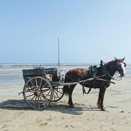 Ferme De Franqueville サント・マリー・デュ・モン エクステリア 写真