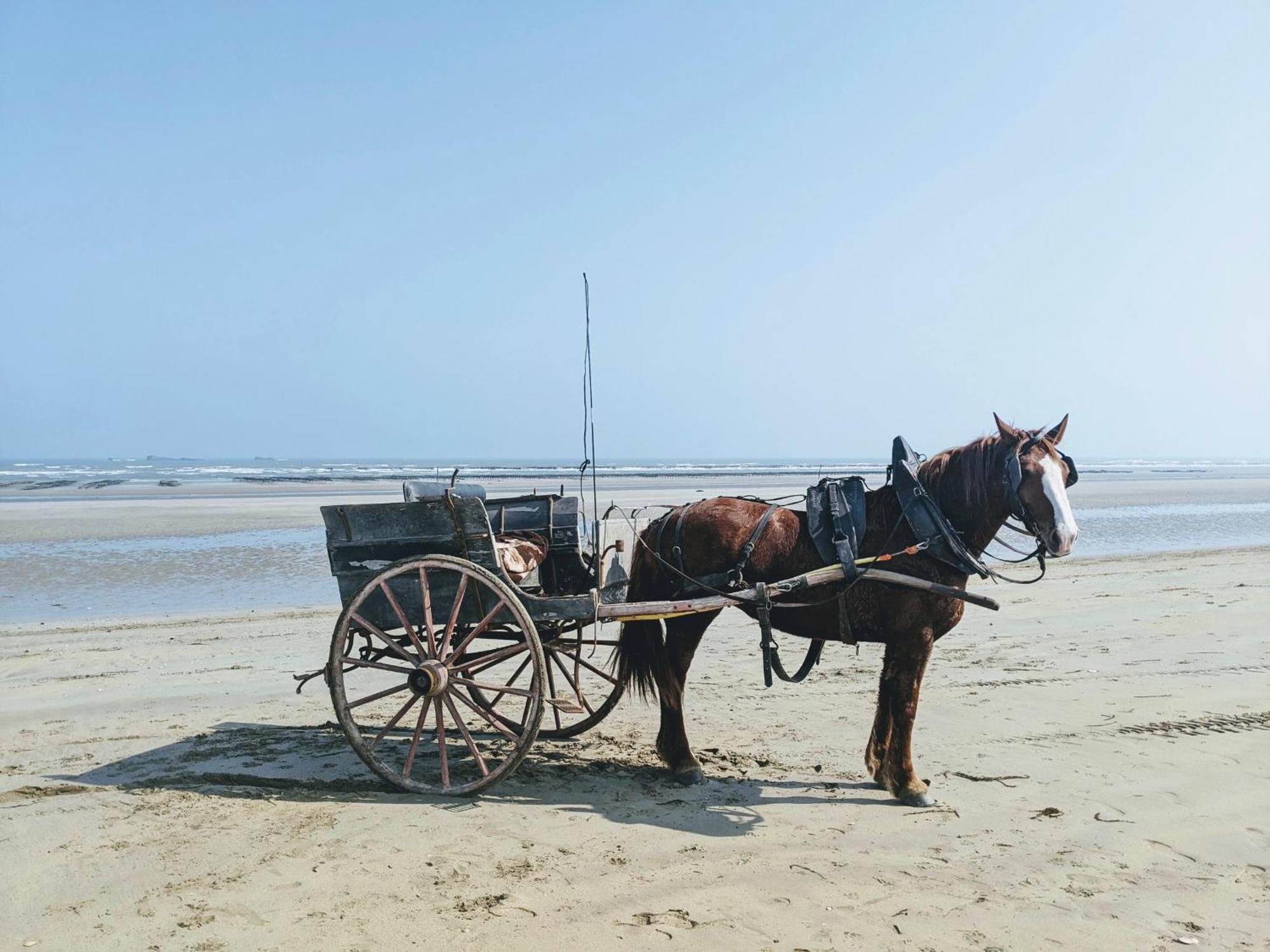 Ferme De Franqueville サント・マリー・デュ・モン エクステリア 写真
