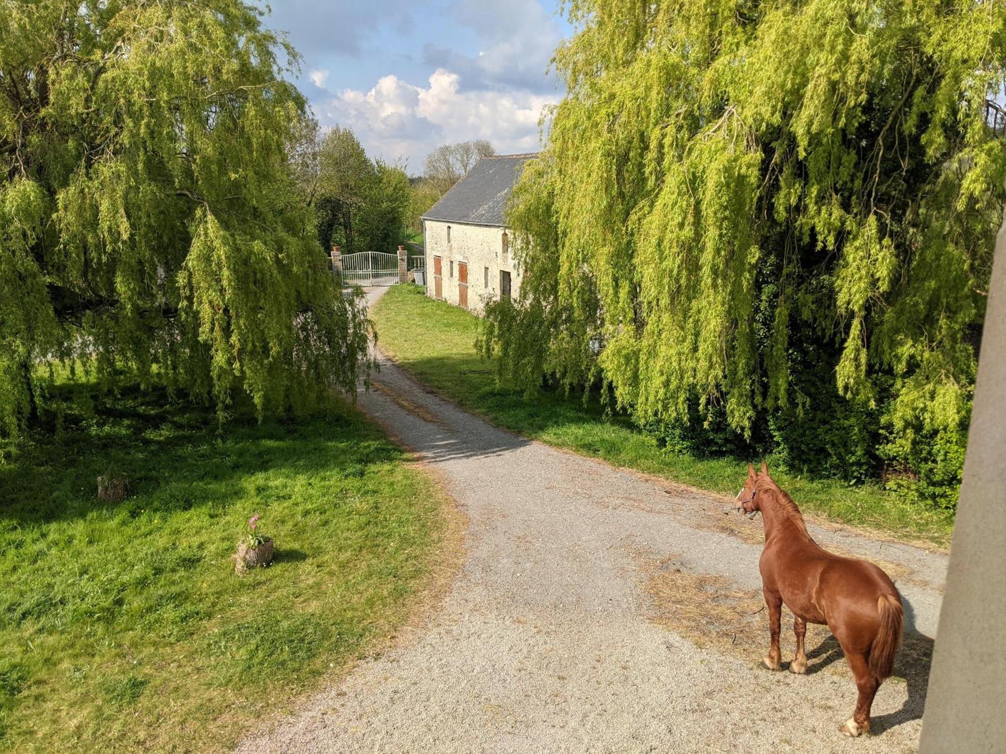 Ferme De Franqueville サント・マリー・デュ・モン エクステリア 写真