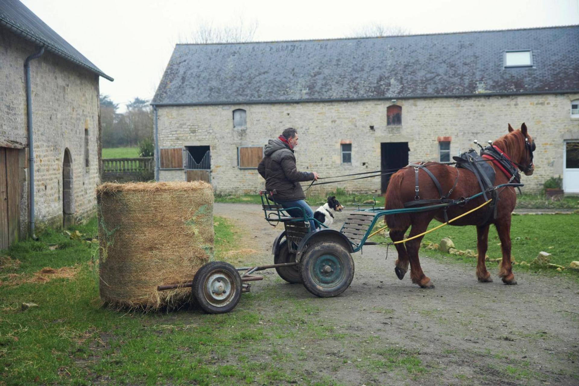 Ferme De Franqueville サント・マリー・デュ・モン エクステリア 写真